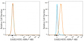 ABflo® 488 Rabbit anti-Human ErbB3/HER3 mAb (A24357)