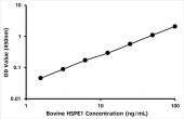 Bovine 10 kDa heat shock protein,  mitochondrial (HSPE1/HSP10/CPN10) ELISA Kit (RK08246)