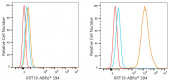 ABflo® 594 Rabbit anti-Human Cytokeratin 19 (KRT19) mAb (A24259)