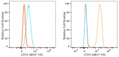 ABflo® 594 Rabbit anti-Human CD59 mAb (A23365)