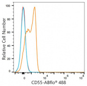 ABflo® 488 Rabbit anti-Human/Mouse CD55/DAF mAb (A23897)