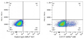 ABflo® 488 Rabbit anti-Human CD177 mAb (A24401)
