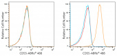 ABflo® 488 Rabbit anti-Human CD55 mAb (A21942)