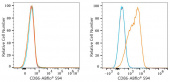 ABflo® 594 Rabbit anti-Human CD86 mAb (A24256)
