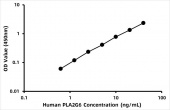 Human 85/88 kDa calcium-independent phospholipase A2 (PLA2G6) ELISA Kit (RK06760)