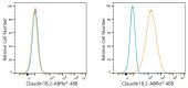 ABflo® 488 Rabbit anti-Human Claudin18.2 mAb (A23391)