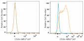 ABflo® 647 Rabbit anti-Human CD26/DPP4 mAb (A24411)