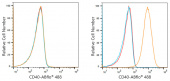 ABflo® 488 Rabbit anti-Human CD40 mAb (A21938)