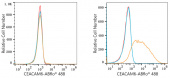 ABflo® 488 Rabbit anti-Human CEACAM6 mAb (A22187)