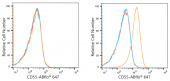 ABflo® 647 Rabbit anti-Human CD55 mAb (A21943)