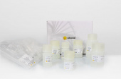 AFTSpin EndoFree Plasmid Maxi Kit (RK30103)