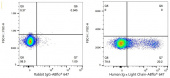ABflo® 647 Rabbit anti-Human Ig κ Light Chain mAb (A23901)