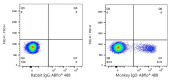 ABflo® 488 Rabbit anti-Monkey IgD mAb (A23403)