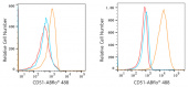 ABflo® 488 Rabbit anti-Human CD51 mAb (A22298)