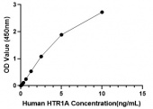 Human  5-hydroxytryptamine receptor 1A (HTR1A) ELISA Kit (RK04306)