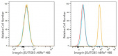 ABflo® 488 Rabbit anti-Human Integrin β5/ITGB5 mAb (A24246)