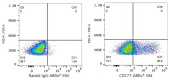 ABflo® 594 Rabbit anti-Human CD177 mAb (A24403)