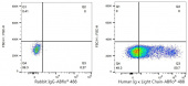 ABflo® 488 Rabbit anti-Human Ig κ Light Chain mAb (A23900)