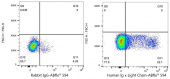 ABflo® 594 Rabbit anti-Human Ig κ Light Chain mAb (A23902)