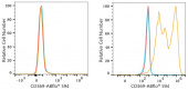 ABflo® 594 Rabbit anti-Human CD369/Dectin-1 Antibody mAb (A24273)
