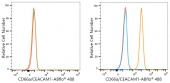 ABflo® 488 Rabbit anti-Human CD66a/CEACAM1 mAb (A24383)