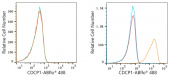 ABflo® 488 Rabbit anti-Human CDCP1 mAb (A22498)